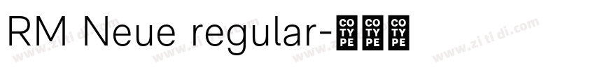 RM Neue regular字体转换